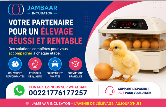 Accueil bannière 2 mobile jambar incubator