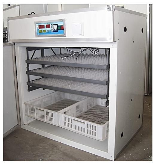 couveuse automatique jambaar incubator couveuse automatique jambaar incubator