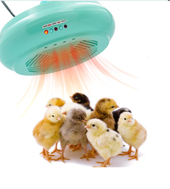 lampe chauffante intelligente avec contrôle de température lampe chauffante intelligente avec contrôle de température