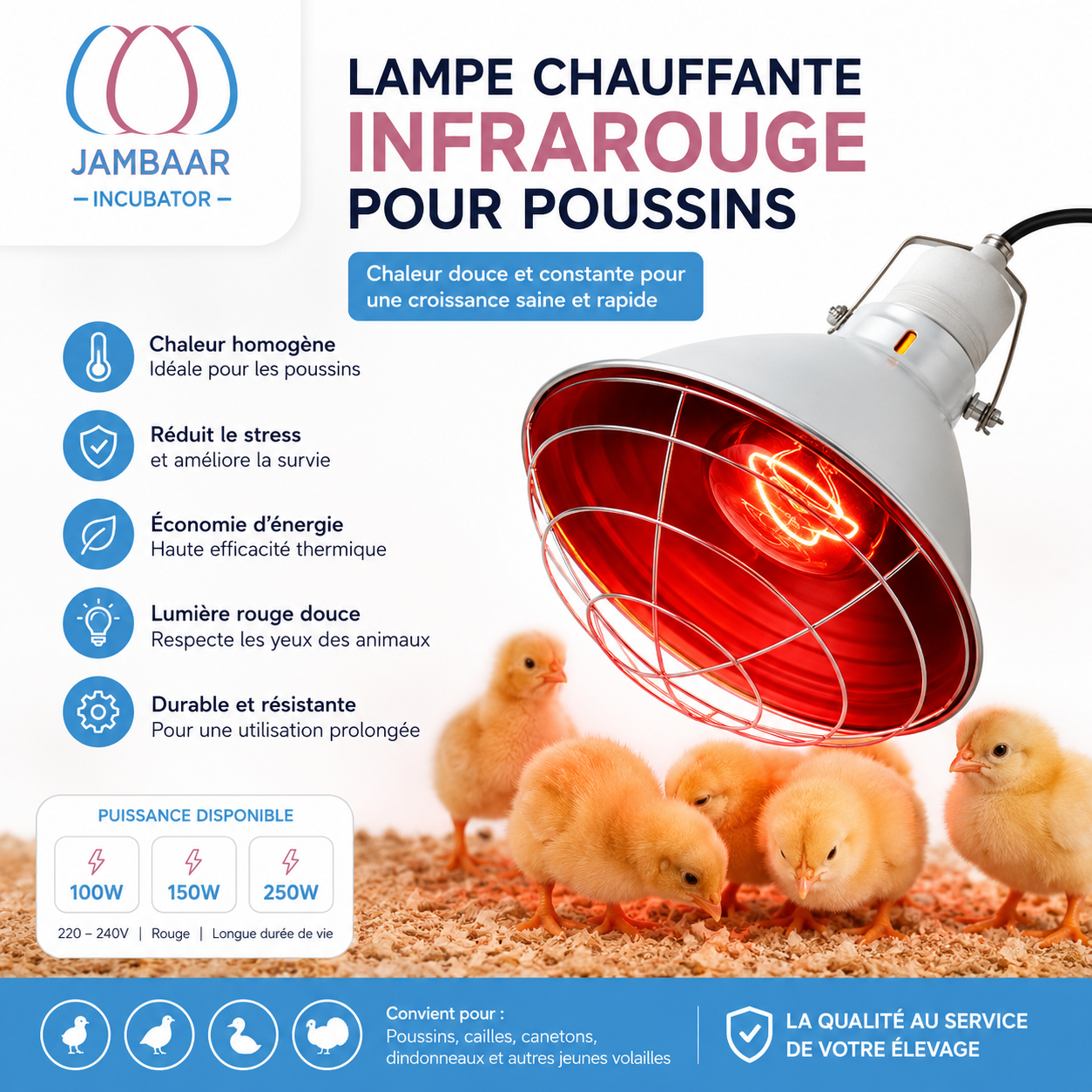 lampe chauffante infrarouge pour poussins 100w / 150w / 250w – Élevage avicole lampe chauffante infrarouge pour poussins 100w / 150w / 250w – Élevage avicole